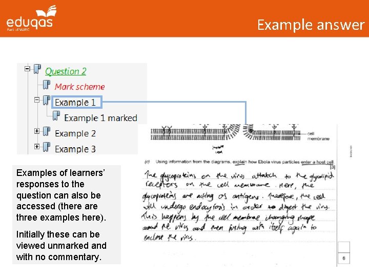 Example answer Examples of learners’ responses to the question can also be accessed (there