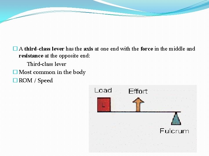 � A third-class lever has the axis at one end with the force in