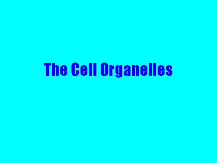 The Cell Organelles 