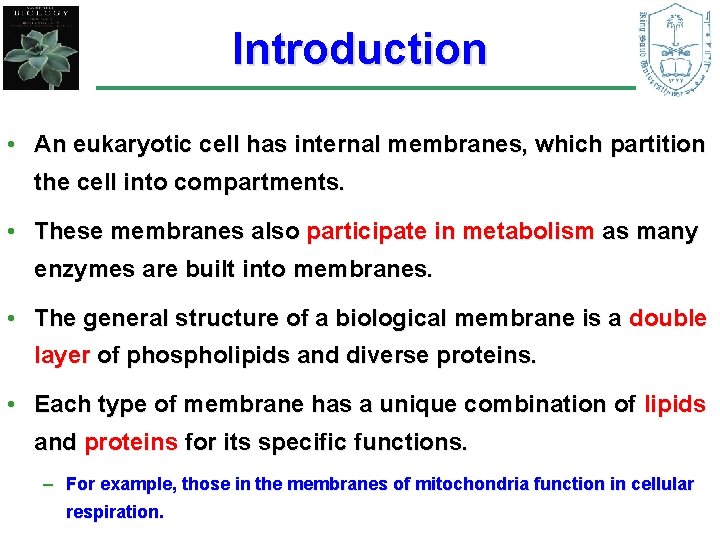 Introduction • An eukaryotic cell has internal membranes, which partition the cell into compartments.