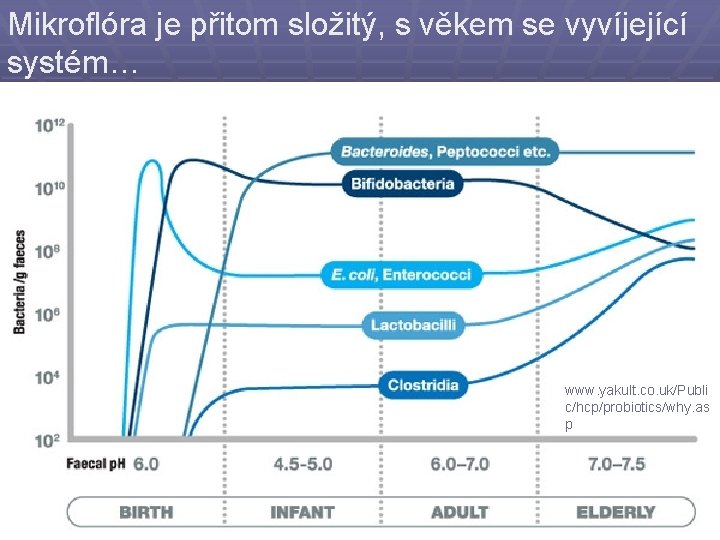 Mikroflóra je přitom složitý, s věkem se vyvíjející systém… www. yakult. co. uk/Publi c/hcp/probiotics/why.