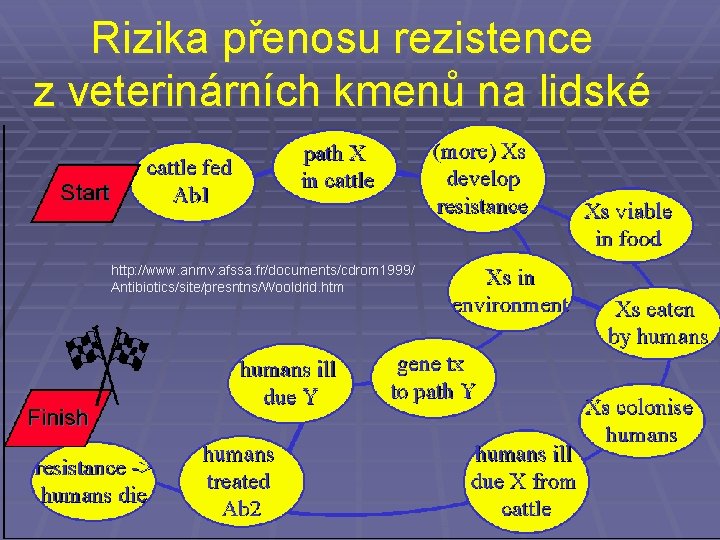 Rizika přenosu rezistence z. veterinárních kmenů na lidské http: //www. anmv. afssa. fr/documents/cdrom 1999/