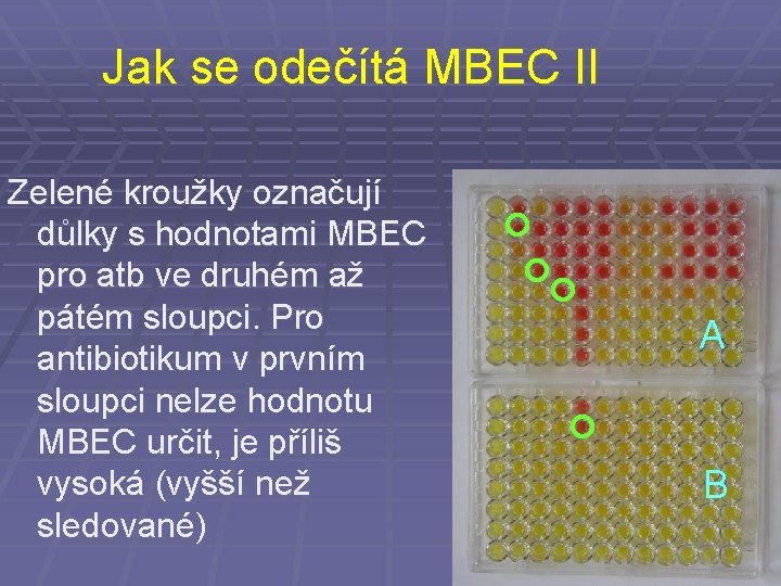 Jak se odečítá MBEC II Zelené kroužky označují důlky s hodnotami MBEC pro atb