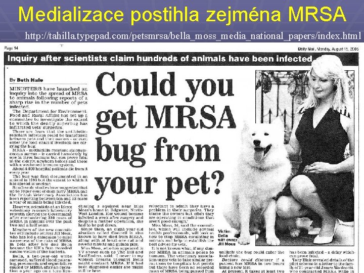 Medializace postihla zejména MRSA http: //tahilla. typepad. com/petsmrsa/bella_moss_media_national_papers/index. html 