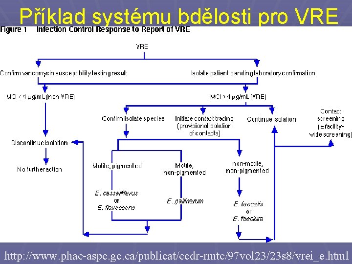 Příklad systému bdělosti pro VRE http: //www. phac-aspc. gc. ca/publicat/ccdr-rmtc/97 vol 23/23 s 8/vrei_e.