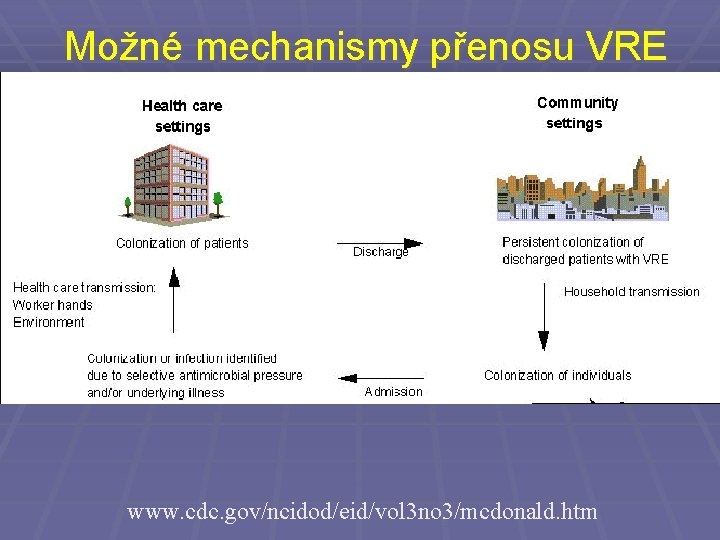 Možné mechanismy přenosu VRE www. cdc. gov/ncidod/eid/vol 3 no 3/mcdonald. htm 