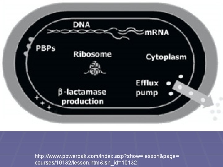 http: //www. powerpak. com/index. asp? show=lesson&page= courses/10132/lesson. htm&lsn_id=10132 