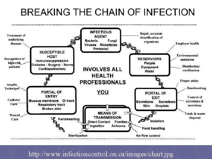 http: //www. infectioncontrol. on. ca/images/chart. jpg 