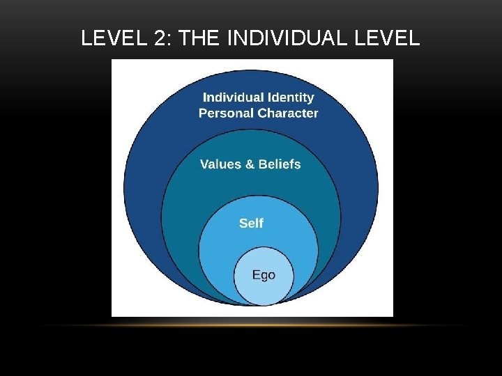 LEVEL 2: THE INDIVIDUAL LEVEL 