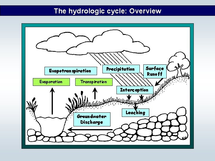 The hydrologic cycle: Overview Evapotranspiration Evaporation Precipitation Surface Runoff Transpiration Interception Groundwater Discharge Leaching
