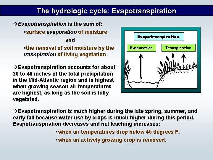 The hydrologic cycle: Evapotranspiration v. Evapotranspiration is the sum of: §surface evaporation of moisture