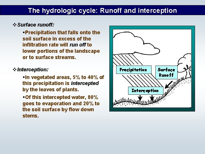 The hydrologic cycle: Runoff and interception v. Surface runoff: §Precipitation that falls onto the