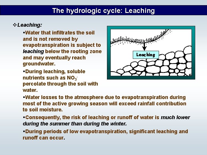 The hydrologic cycle: Leaching v. Leaching: §Water that infiltrates the soil and is not
