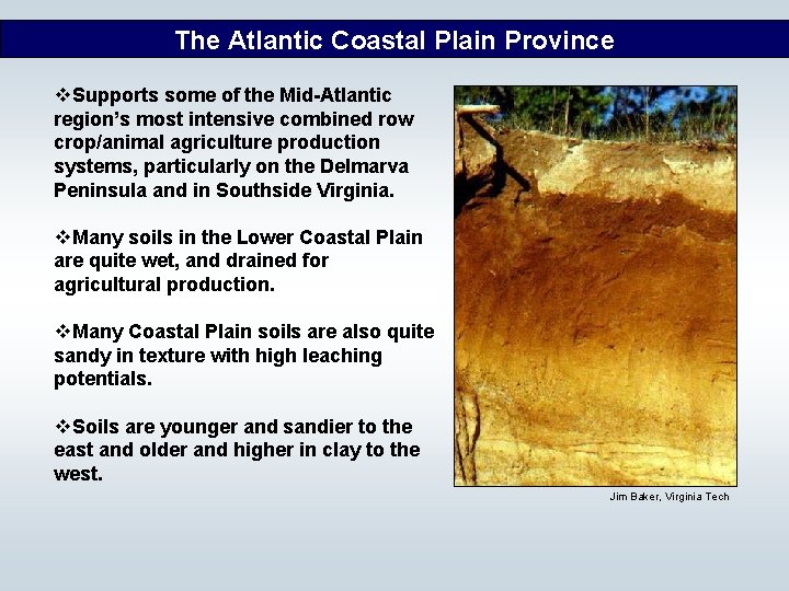 The Atlantic Coastal Plain Province v. Supports some of the Mid-Atlantic region’s most intensive