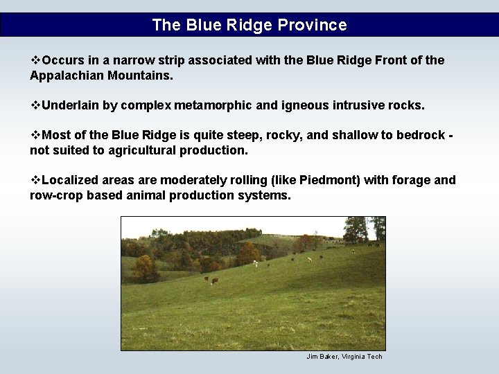 The Blue Ridge Province v. Occurs in a narrow strip associated with the Blue