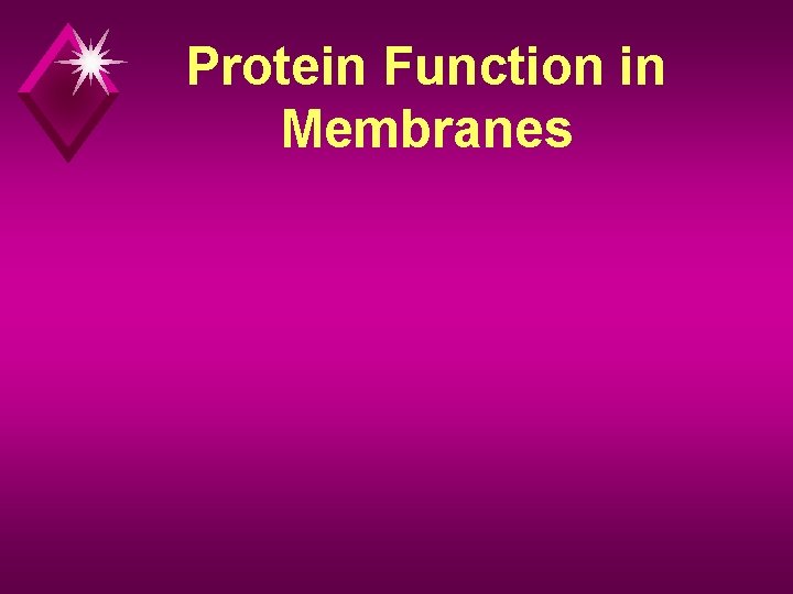 Protein Function in Membranes 