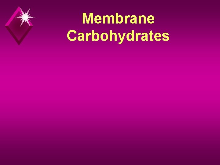Membrane Carbohydrates 