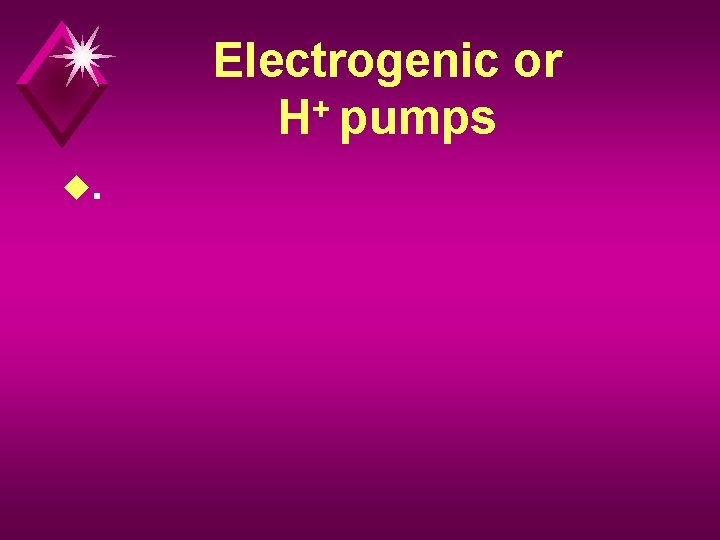 Electrogenic or H+ pumps u. 