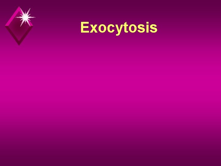 Exocytosis 