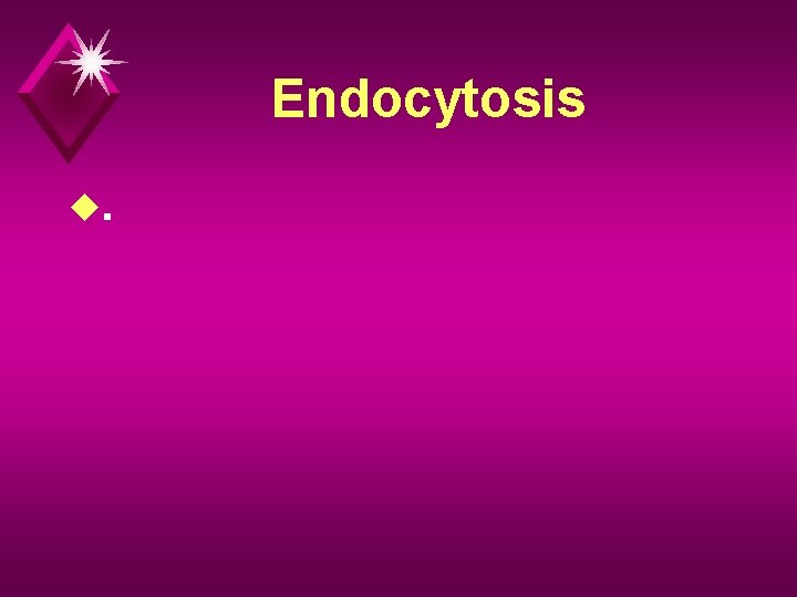 Endocytosis u. 