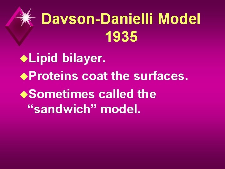 Davson-Danielli Model 1935 u. Lipid bilayer. u. Proteins coat the surfaces. u. Sometimes called