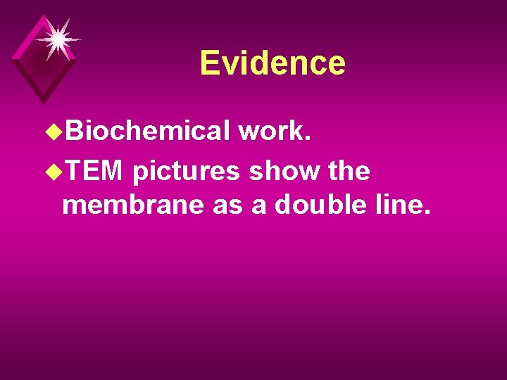Evidence u. Biochemical work. u. TEM pictures show the membrane as a double line.