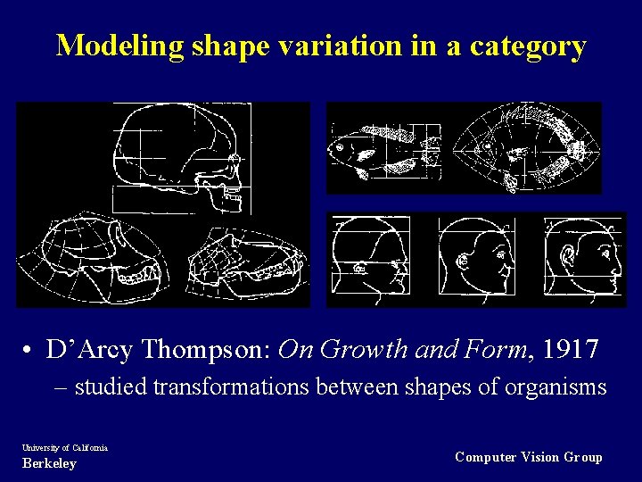Modeling shape variation in a category • D’Arcy Thompson: On Growth and Form, 1917