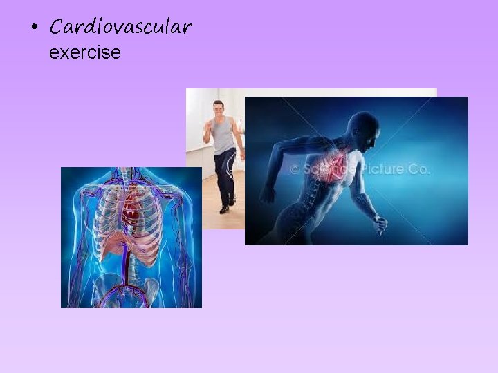  • Cardiovascular exercise 