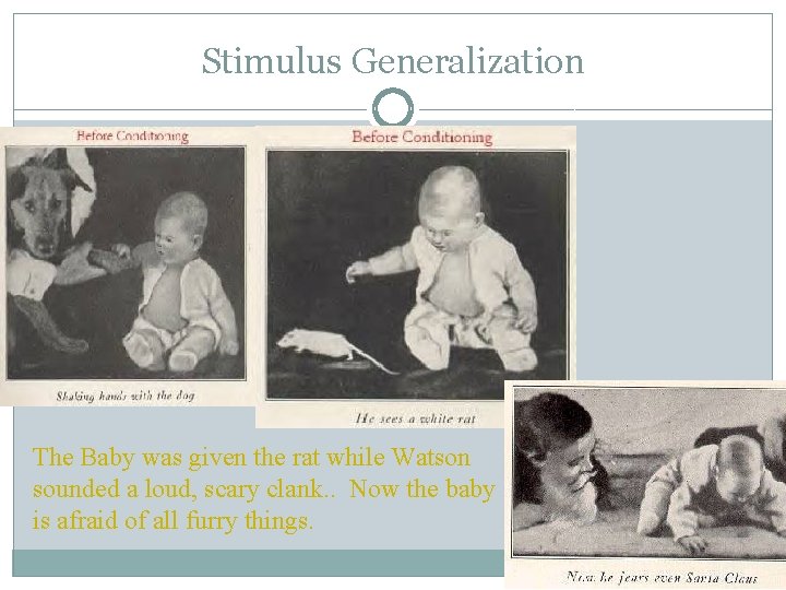 Stimulus Generalization The Baby was given the rat while Watson sounded a loud, scary