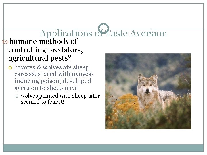 Applications of Taste Aversion humane methods of controlling predators, agricultural pests? coyotes & wolves