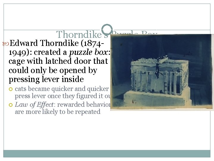 Thorndike’s Puzzle Box Edward Thorndike (1874 - 1949): created a puzzle box: cage with