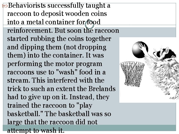  Behaviorists successfully taught a raccoon to deposit wooden coins into a metal container