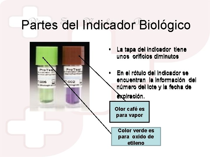 Partes del Indicador Biológico • La tapa del indicador tiene unos orificios diminutos •