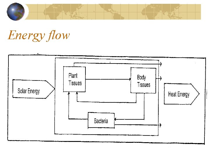Energy flow 