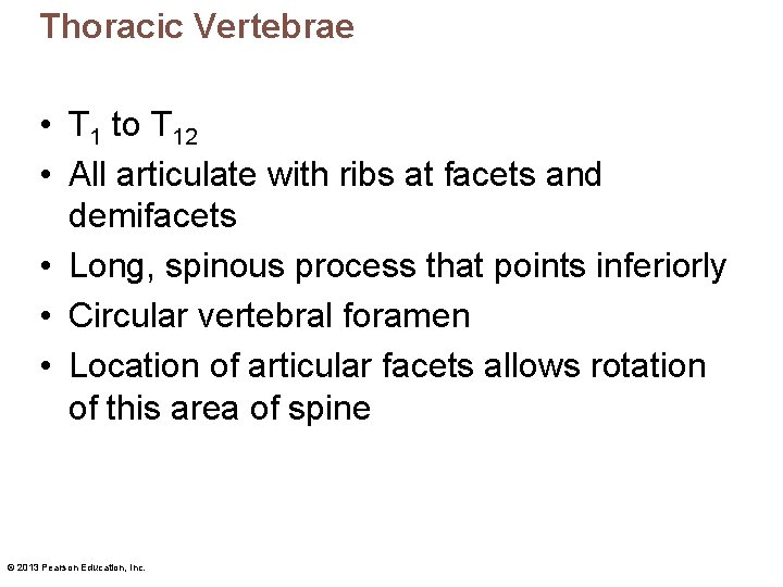 Thoracic Vertebrae • T 1 to T 12 • All articulate with ribs at