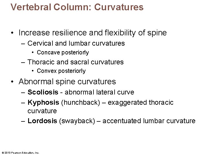 Vertebral Column: Curvatures • Increase resilience and flexibility of spine – Cervical and lumbar