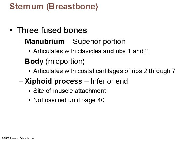 Sternum (Breastbone) • Three fused bones – Manubrium – Superior portion • Articulates with