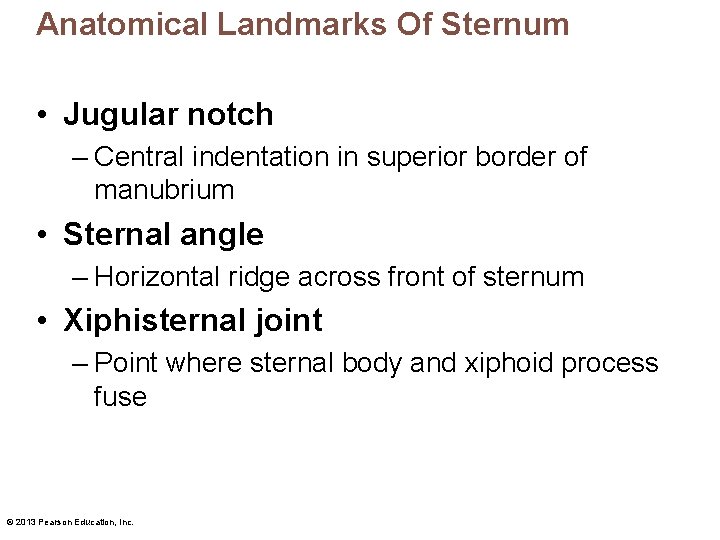 Anatomical Landmarks Of Sternum • Jugular notch – Central indentation in superior border of