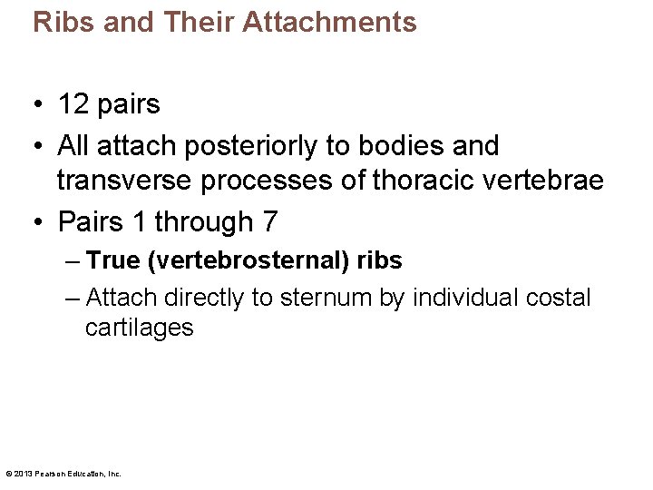 Ribs and Their Attachments • 12 pairs • All attach posteriorly to bodies and