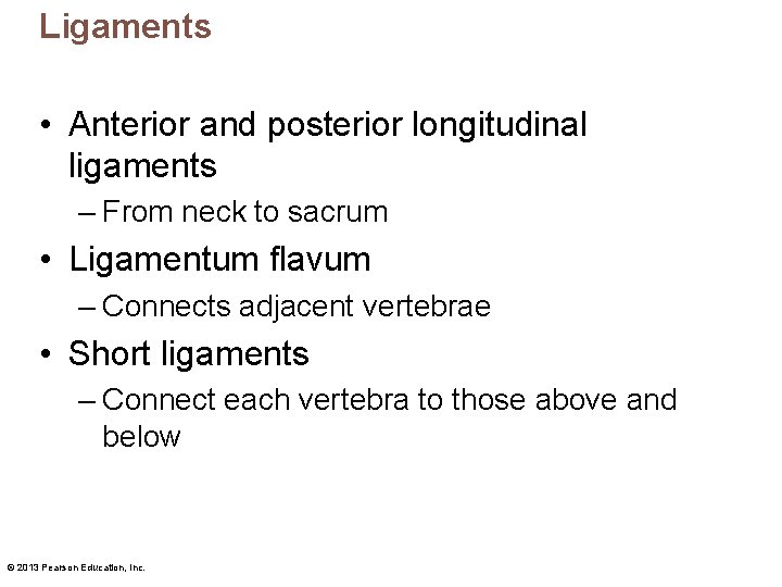 Ligaments • Anterior and posterior longitudinal ligaments – From neck to sacrum • Ligamentum