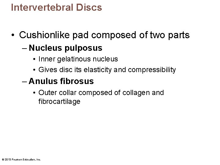 Intervertebral Discs • Cushionlike pad composed of two parts – Nucleus pulposus • Inner