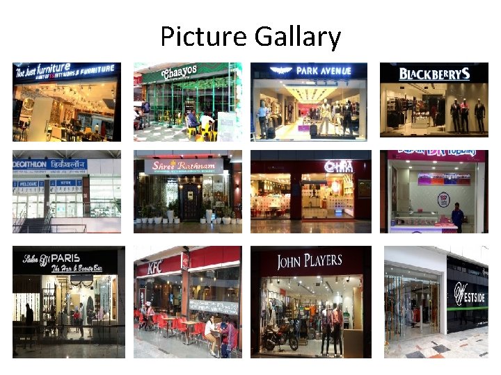 Picture Gallary 