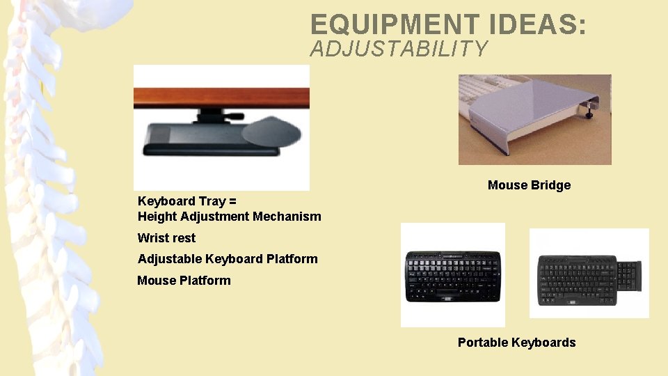 EQUIPMENT IDEAS: ADJUSTABILITY Mouse Bridge Keyboard Tray = Height Adjustment Mechanism Wrist rest Adjustable