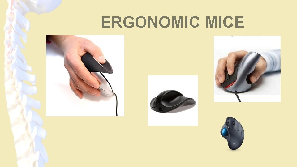 ERGONOMIC MICE 