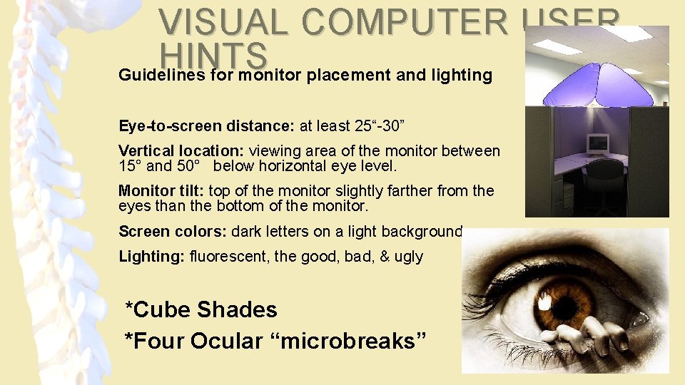 VISUAL COMPUTER USER HINTS Guidelines for monitor placement and lighting Eye-to-screen distance: at least