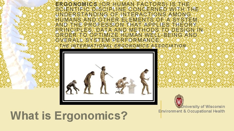 ERGONOMICS (OR HUMAN FACTORS) IS THE SCIENTIFIC DISCIPLINE CONCERNED WITH THE UNDERSTANDING OF INTERACTIONS