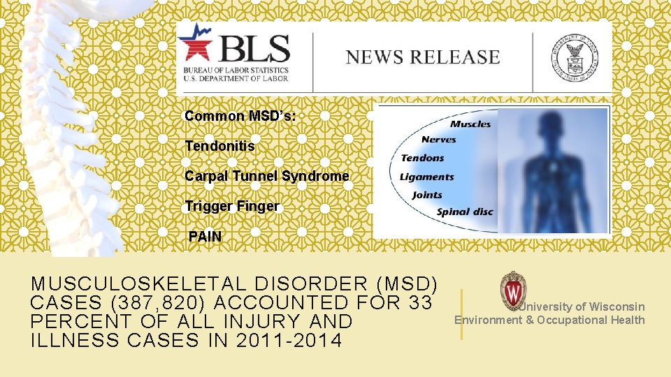 Common MSD’s: Tendonitis Carpal Tunnel Syndrome Trigger Finger PAIN MUSCULOSKELETAL DISORDER (MSD) CASES (387,