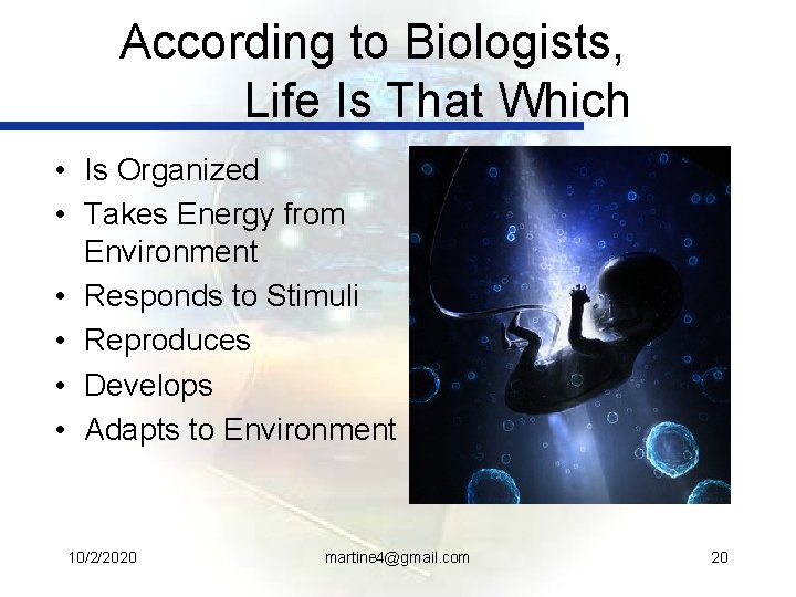 According to Biologists, Life Is That Which • Is Organized • Takes Energy from