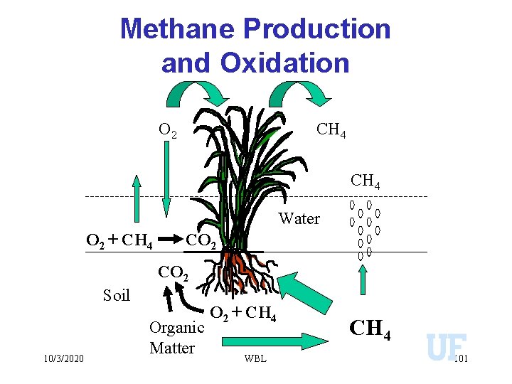 Methane Production and Oxidation O 2 CH 4 Water O 2 + CH 4