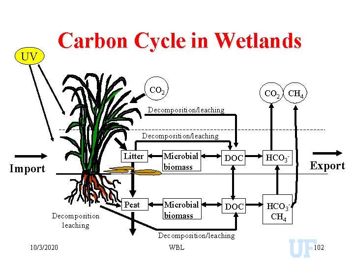 UV Carbon Cycle in Wetlands CO 2 CH 4 Decomposition/leaching Litter Microbial biomass DOC